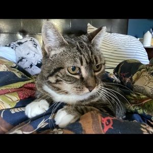 Meet your Posher, Vicky